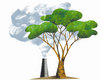 Reduce your carbon footprint