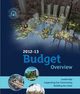 Budget Icon